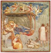 GIOTTO di Bondone Birth of Christ painting